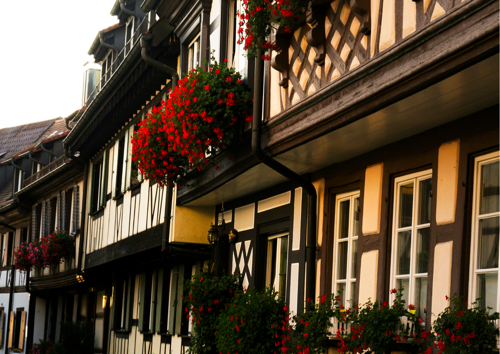 Gengenbach Altstadt