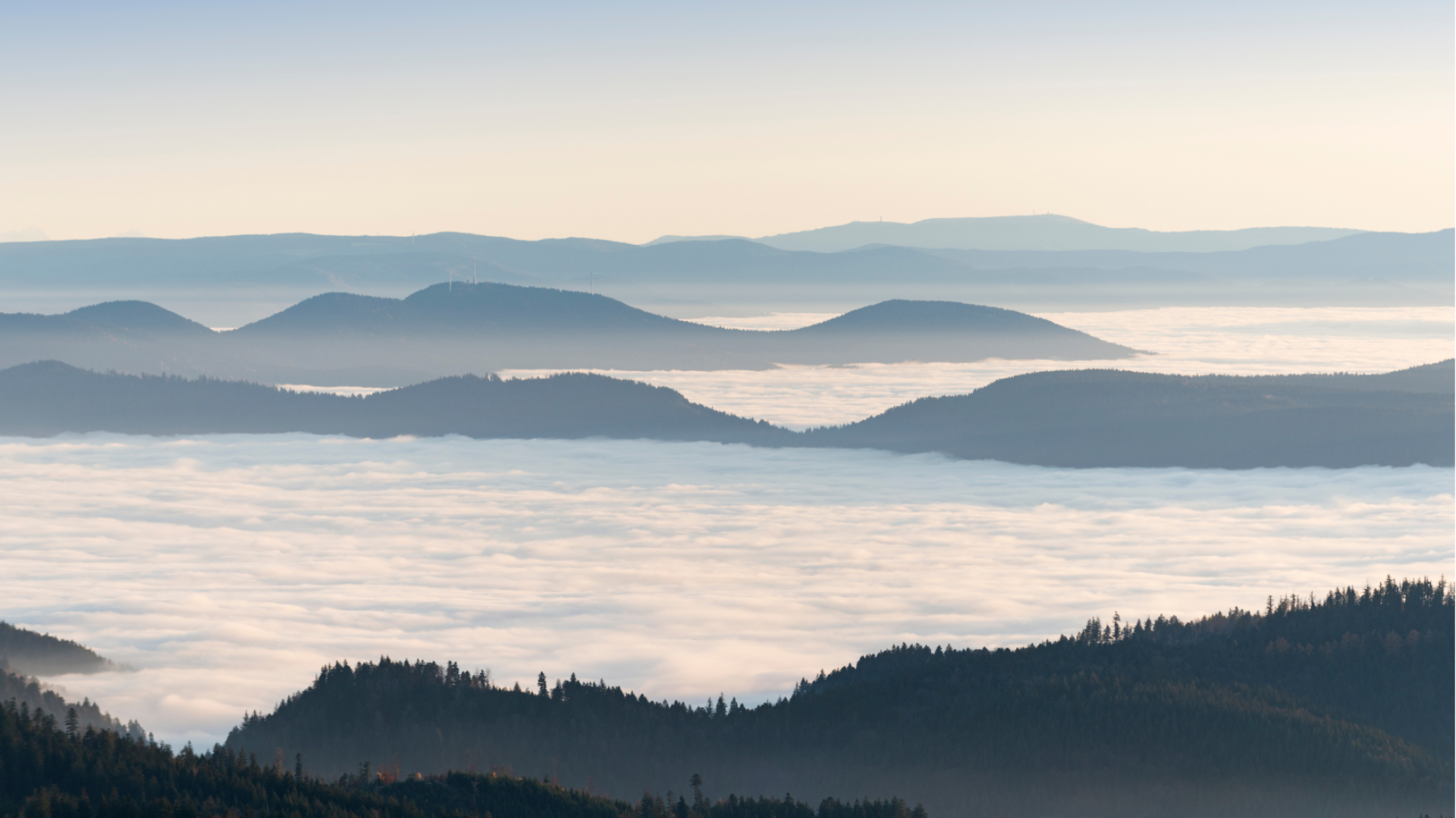 Panoramablick über den Schwarzwald im Nebel