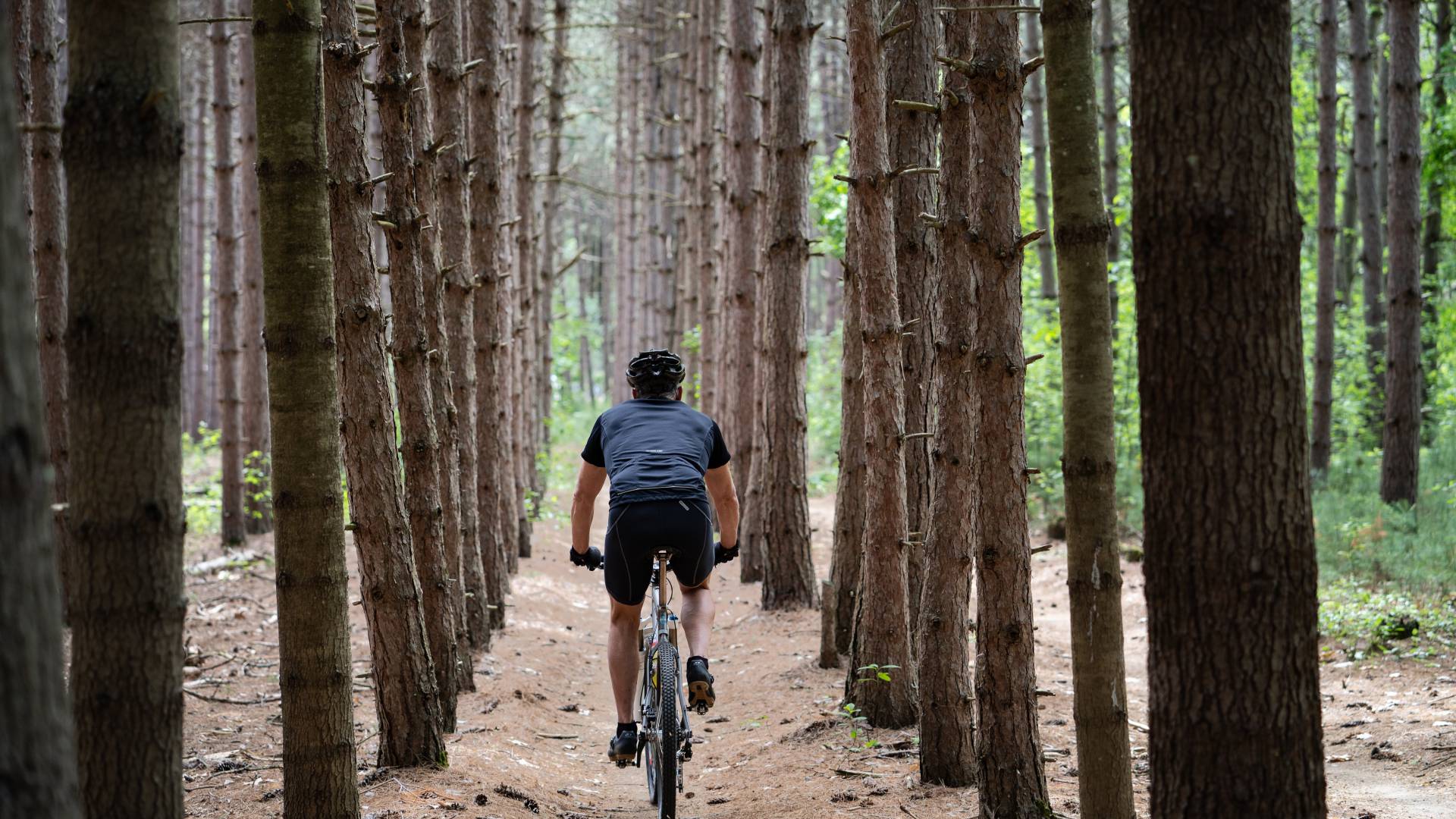 Biker im Wald